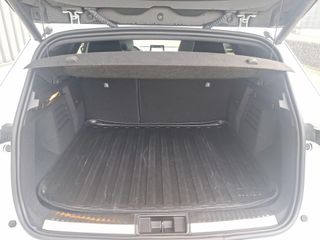 Mitsubishi Grandis