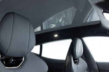 Lotus Eletre