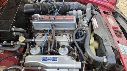MG Midget