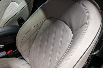 MINI Electric