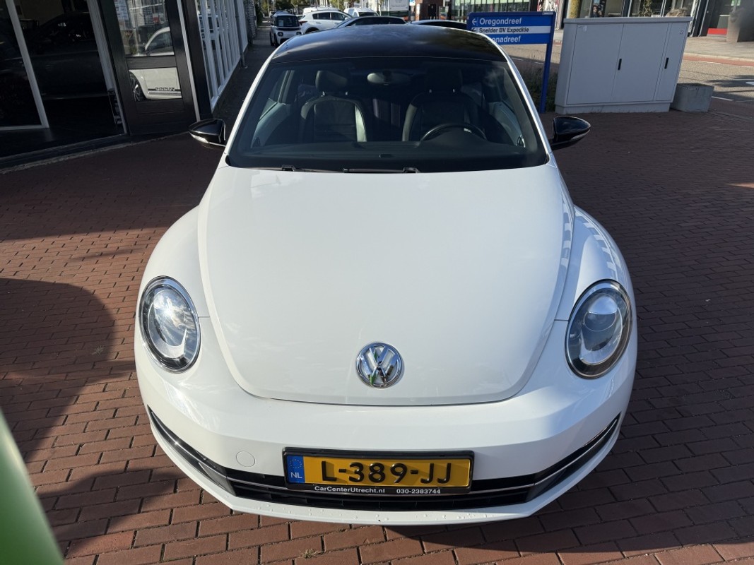 Volkswagen Beetle