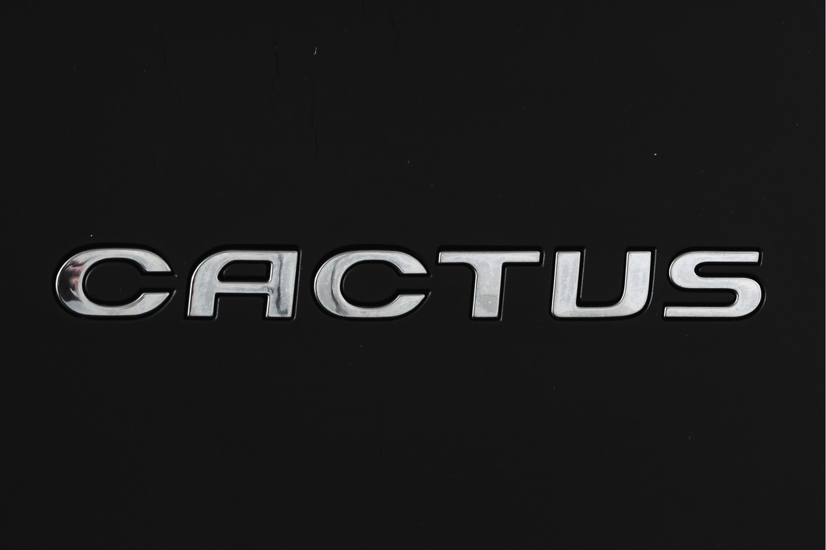 Citroën C4 Cactus