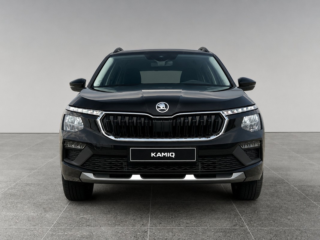 Škoda Kamiq