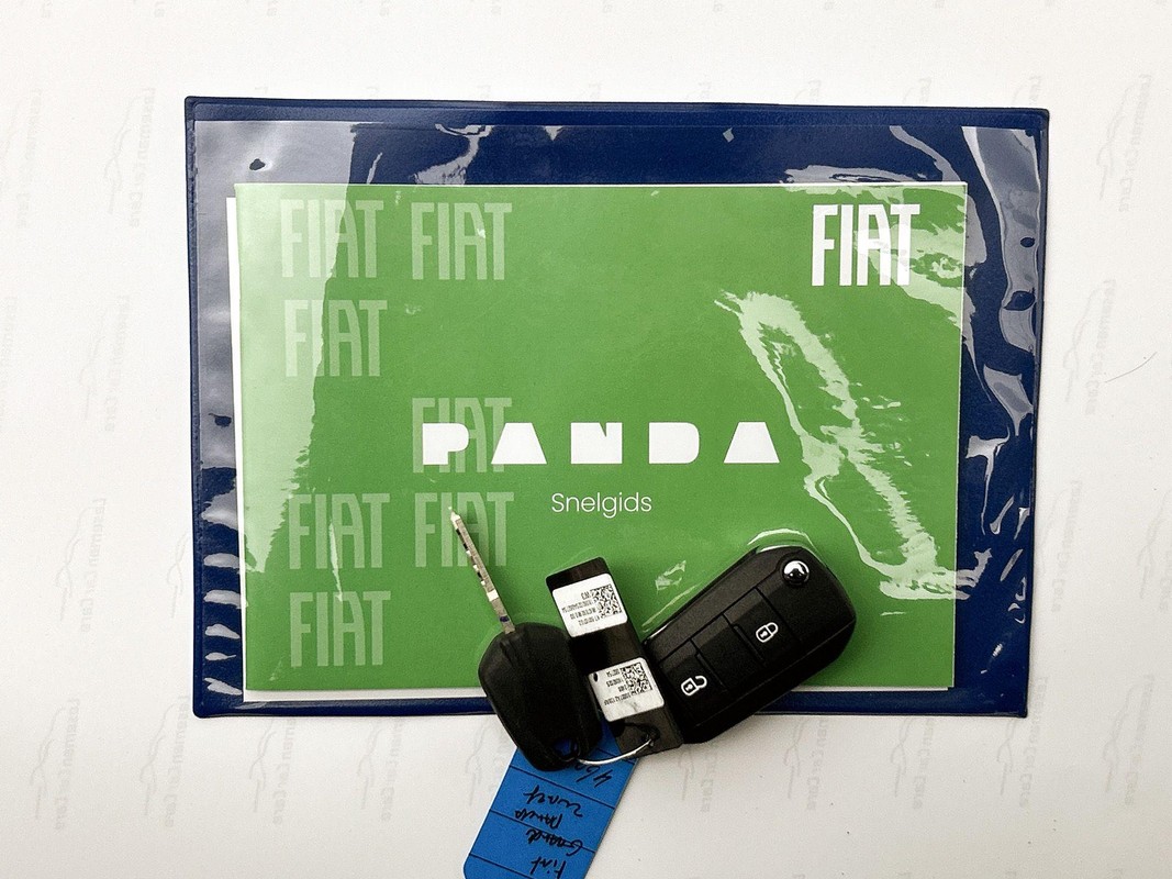 Fiat Grande Panda