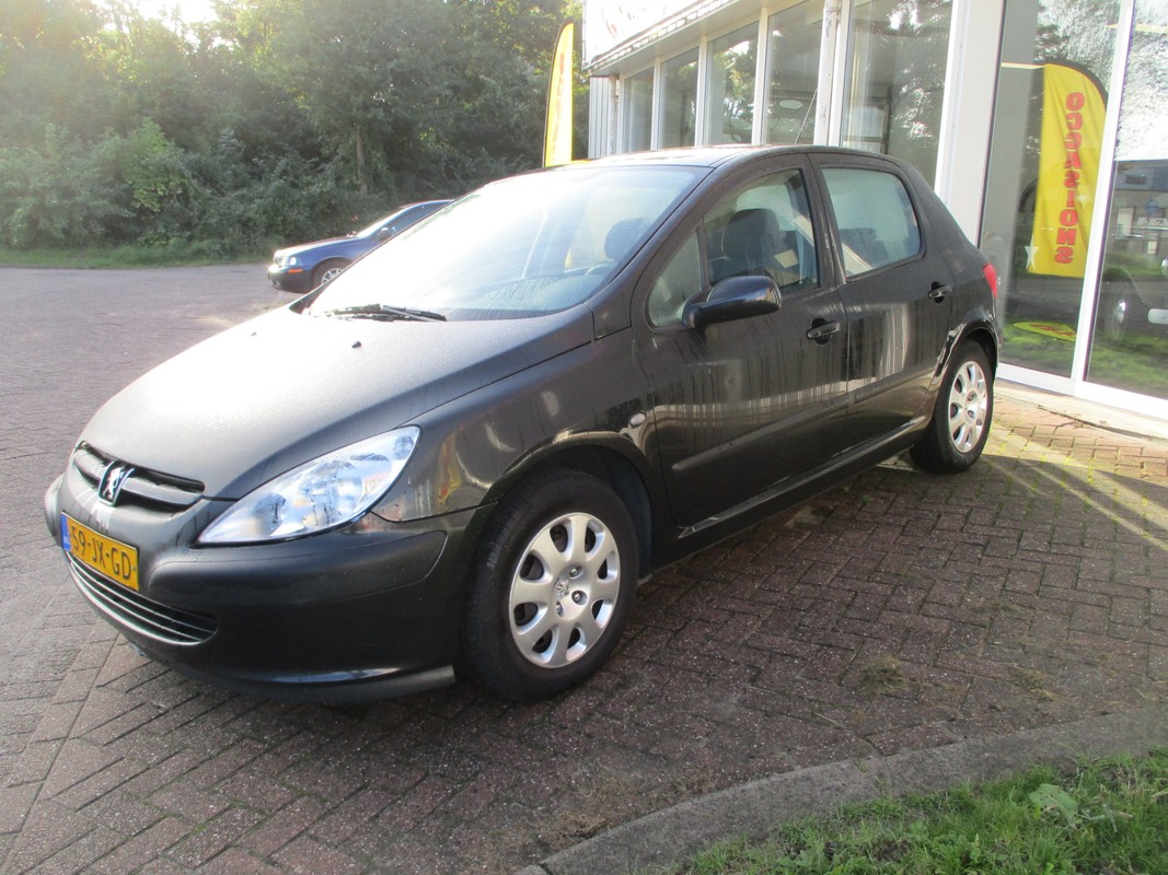 Peugeot 307