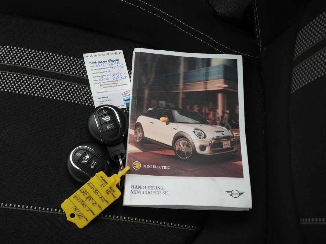 MINI Electric