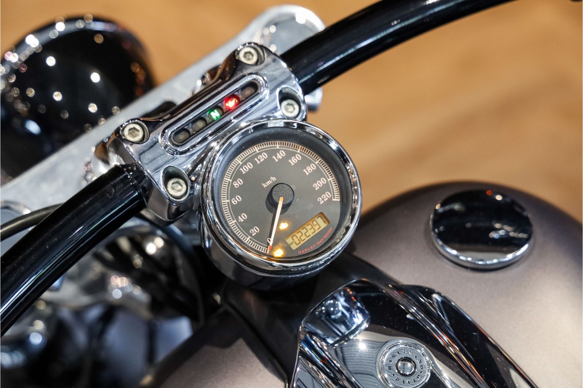 Harley-Davidson Softail