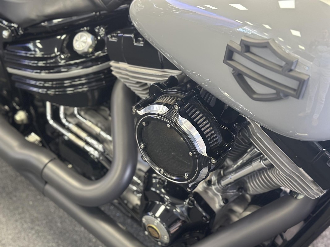 Harley-Davidson Softail