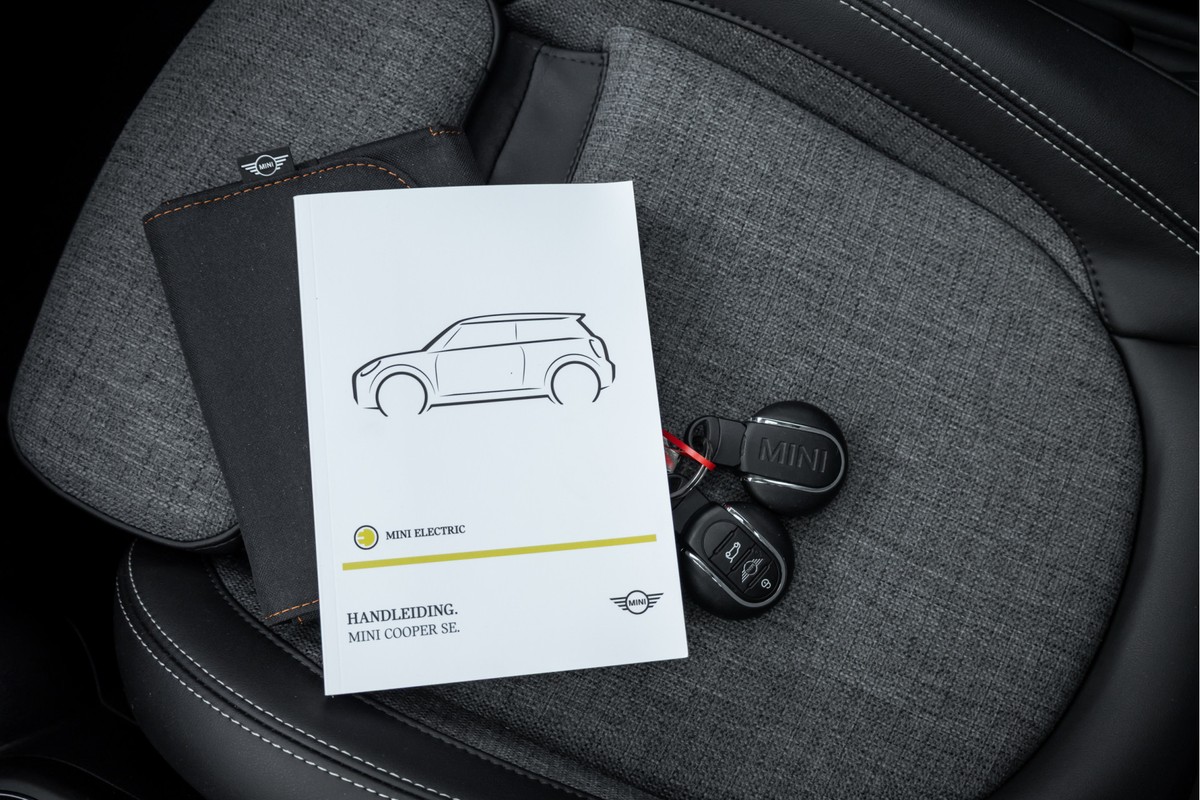 MINI Electric