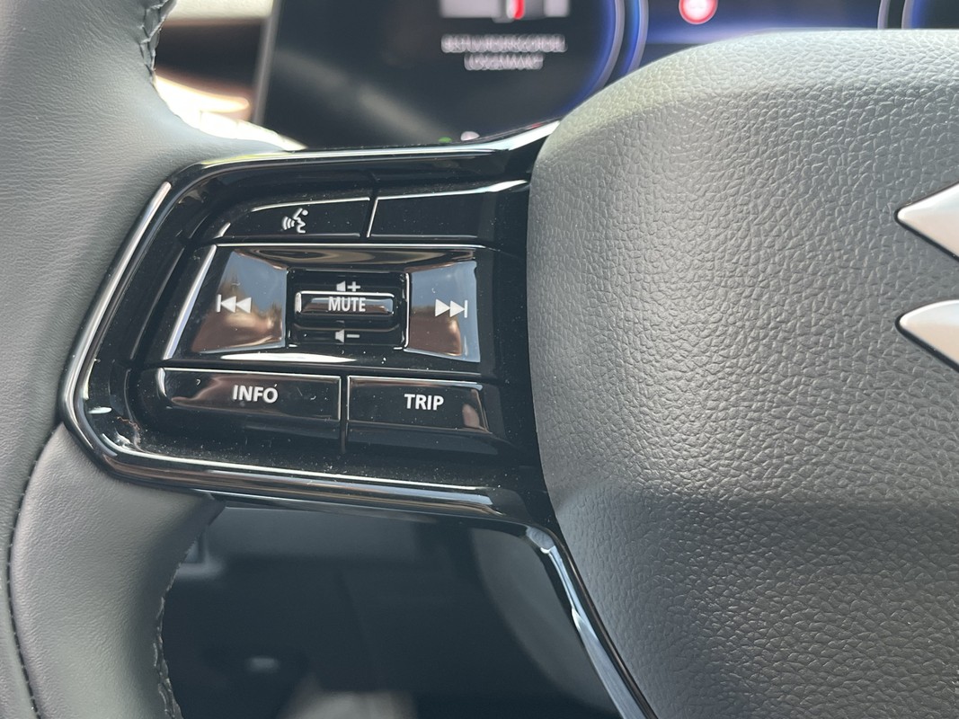 Suzuki e Vitara