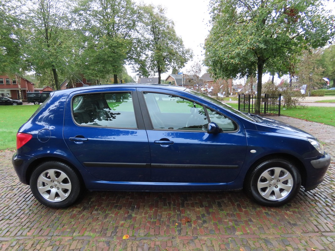 Peugeot 307