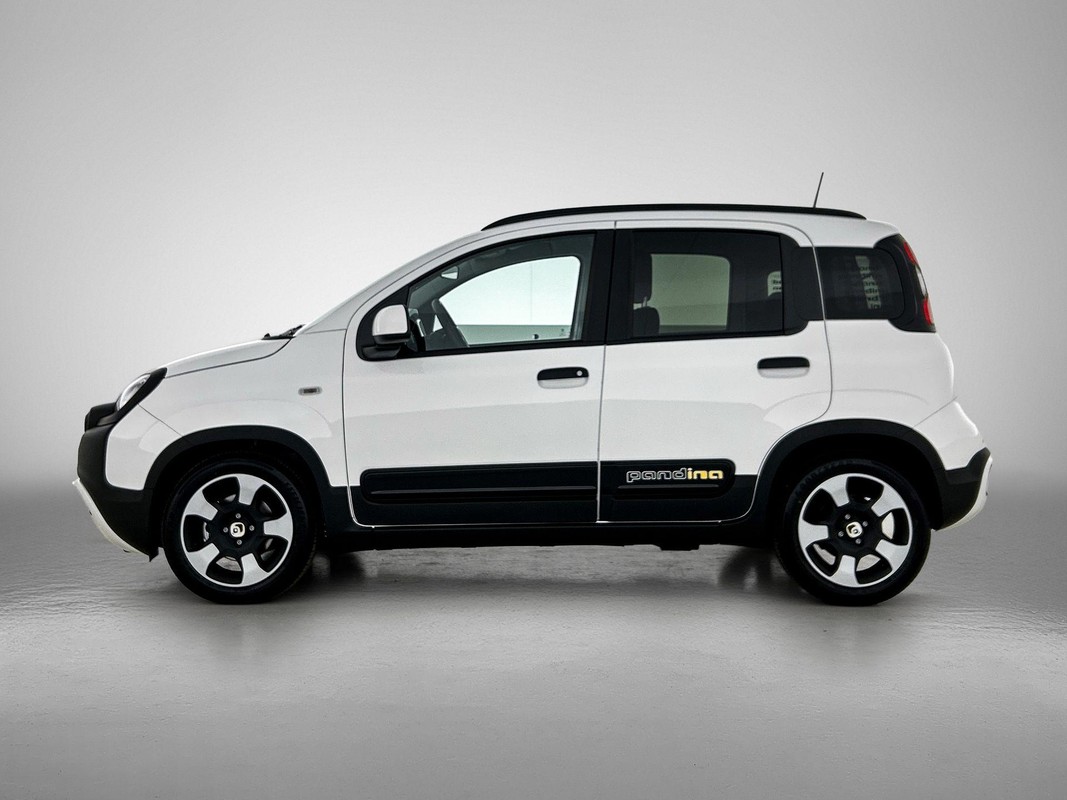 Fiat Pandina