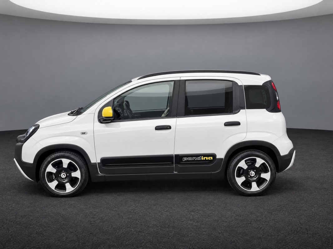 Fiat Pandina