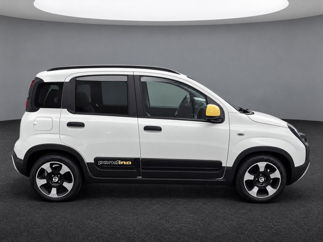 Fiat Pandina