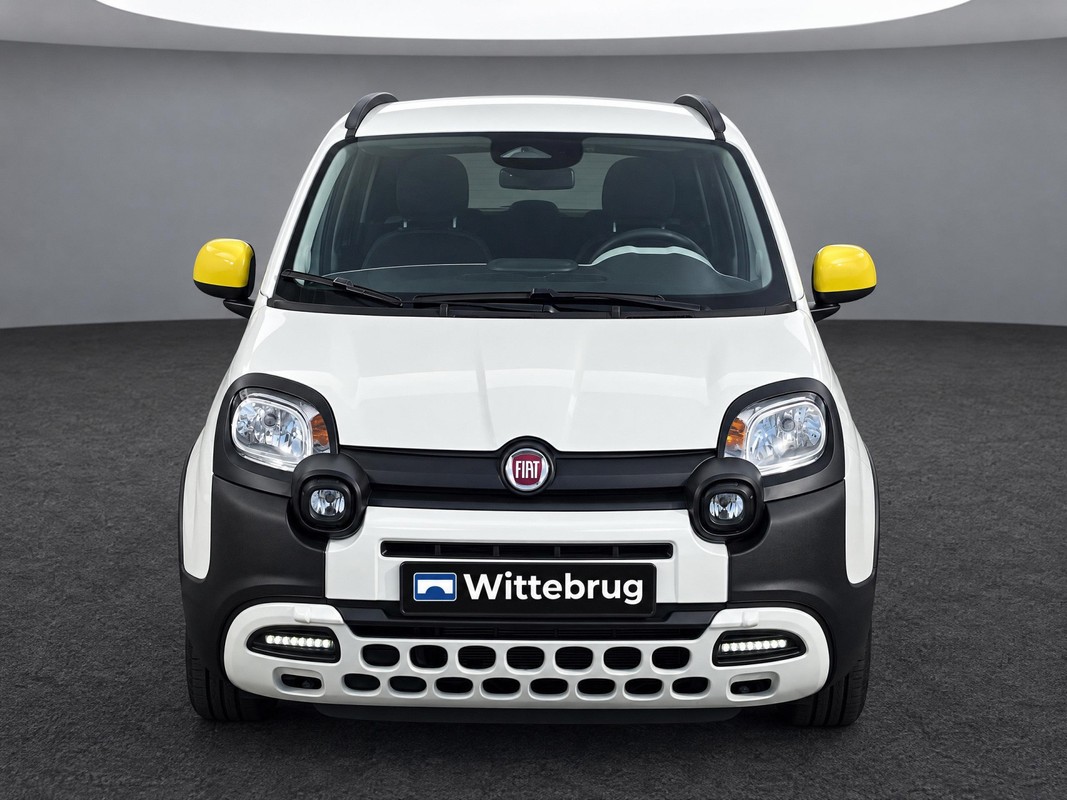 Fiat Pandina
