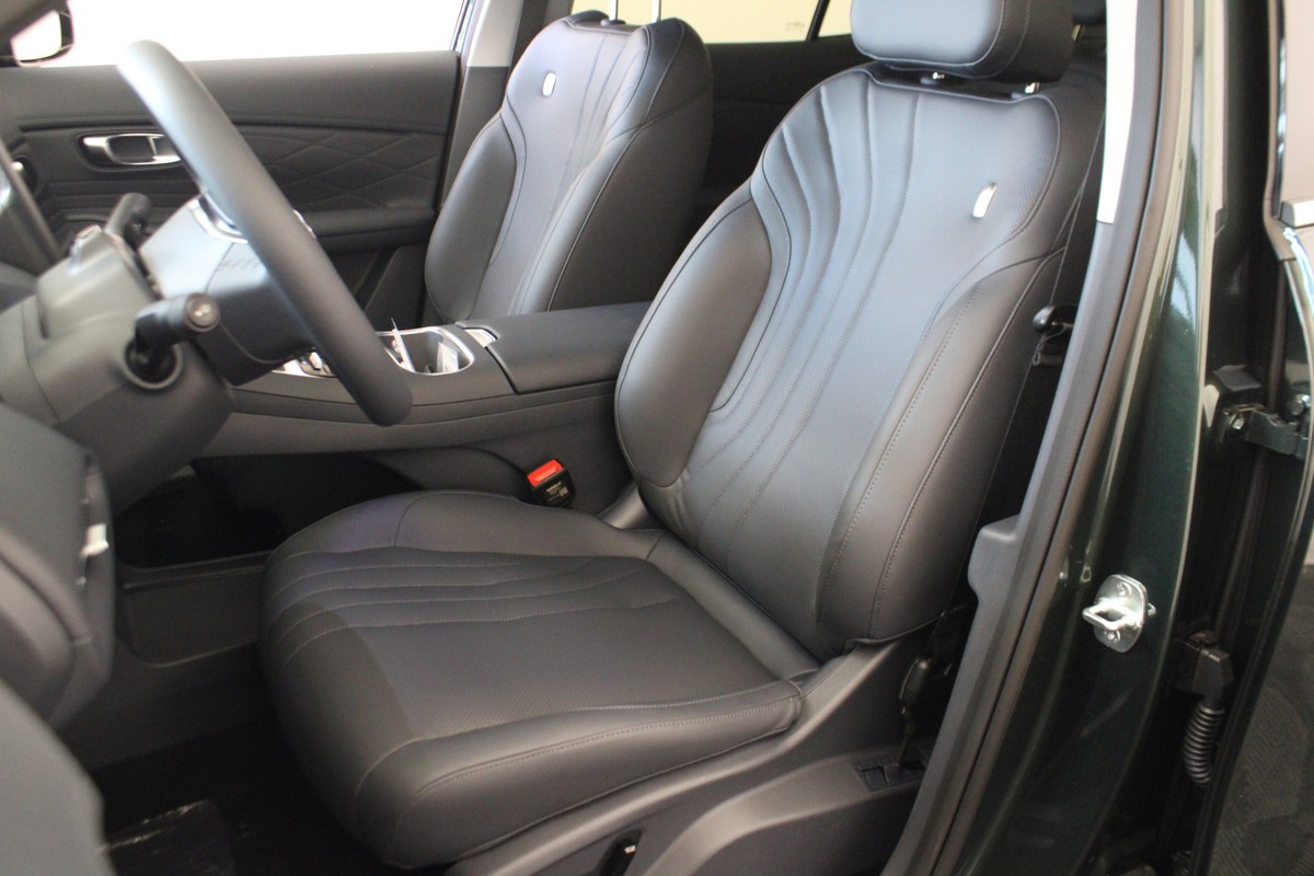 Geely Starray EM-i