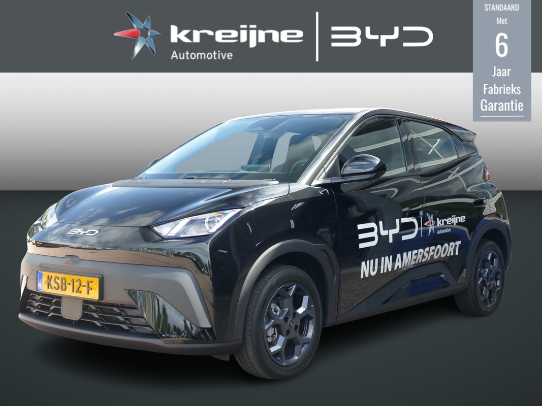 BYD DOLPHIN SURF