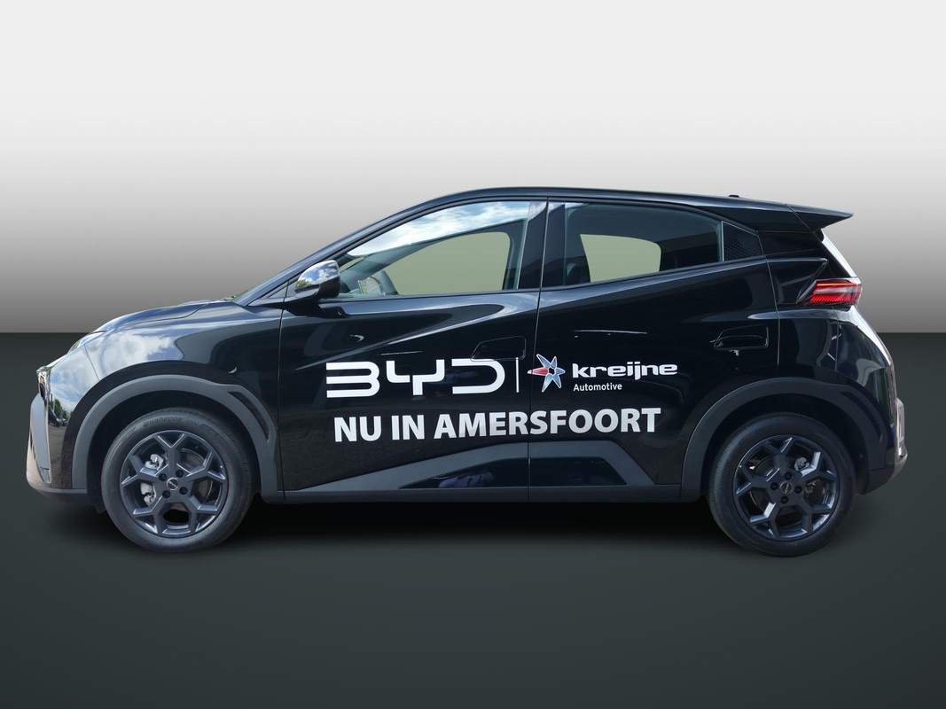 BYD DOLPHIN SURF