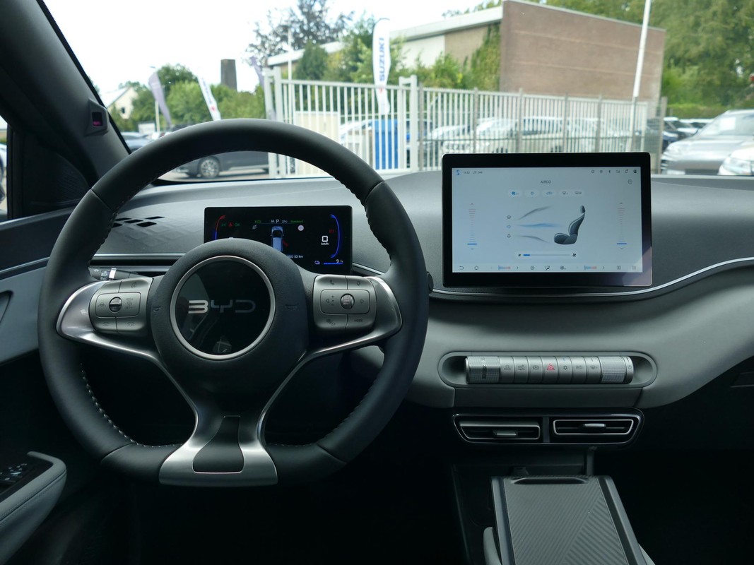 BYD DOLPHIN SURF