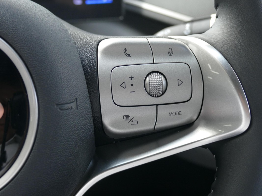BYD DOLPHIN SURF