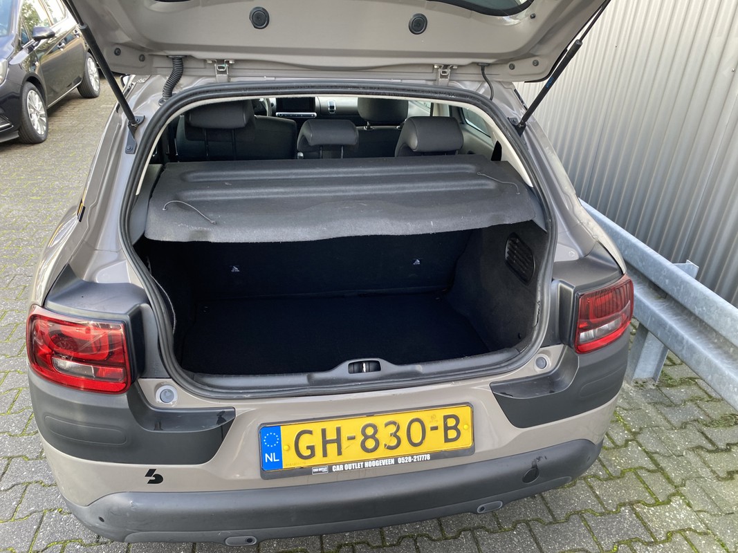 Citroën C4 Cactus