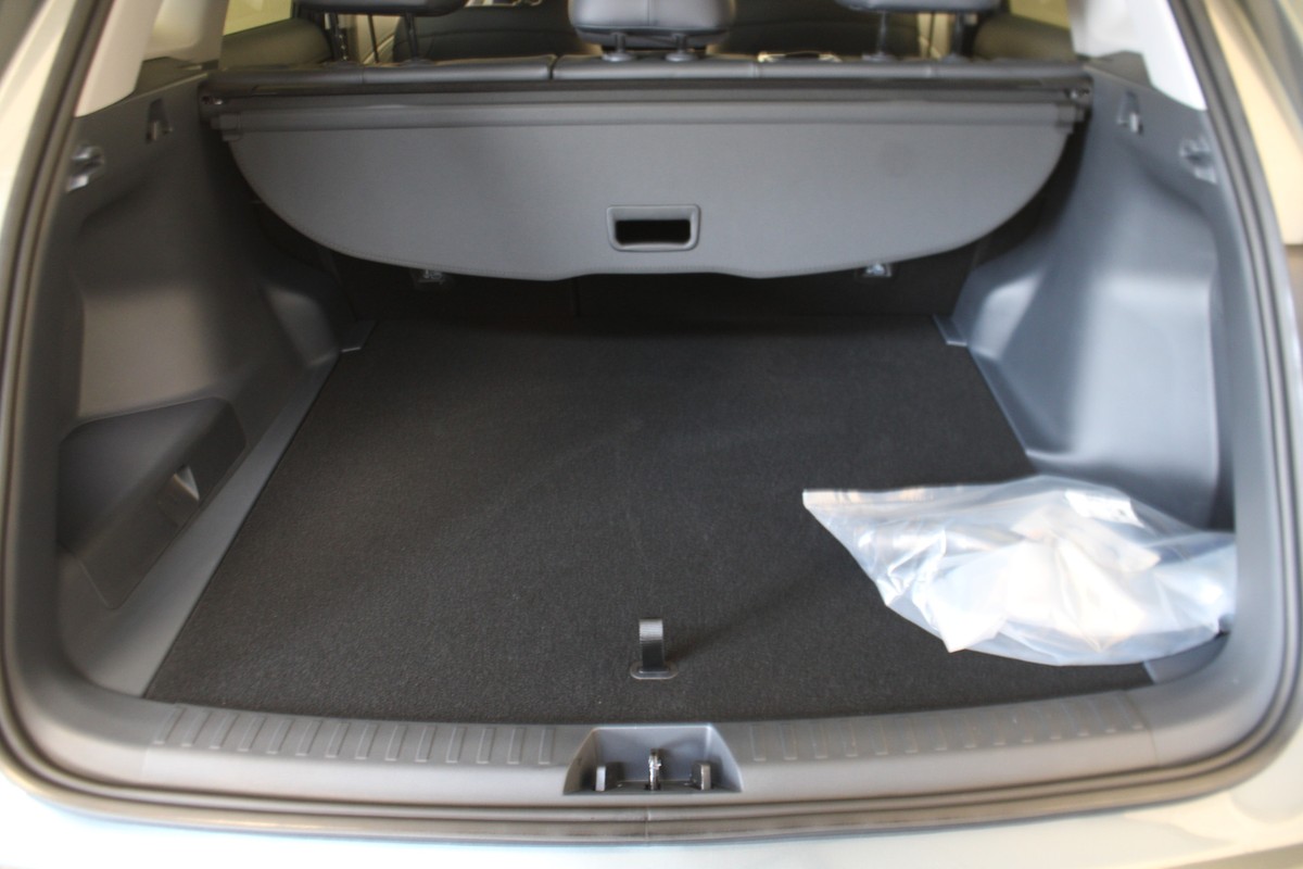 Geely Starray EM-i