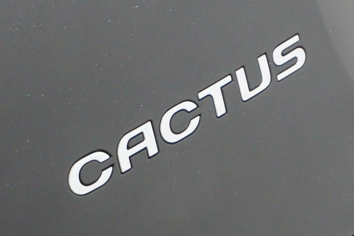 Citroën C4 Cactus