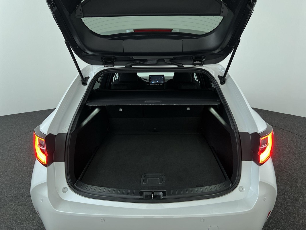 Suzuki Swace