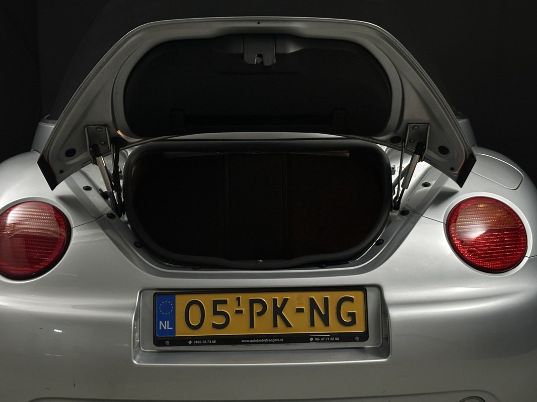 Volkswagen New Beetle