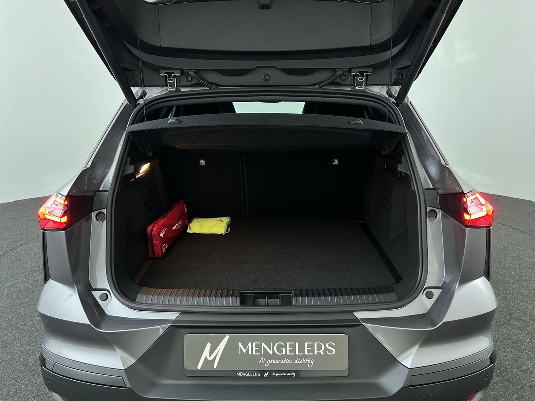 Mitsubishi Grandis