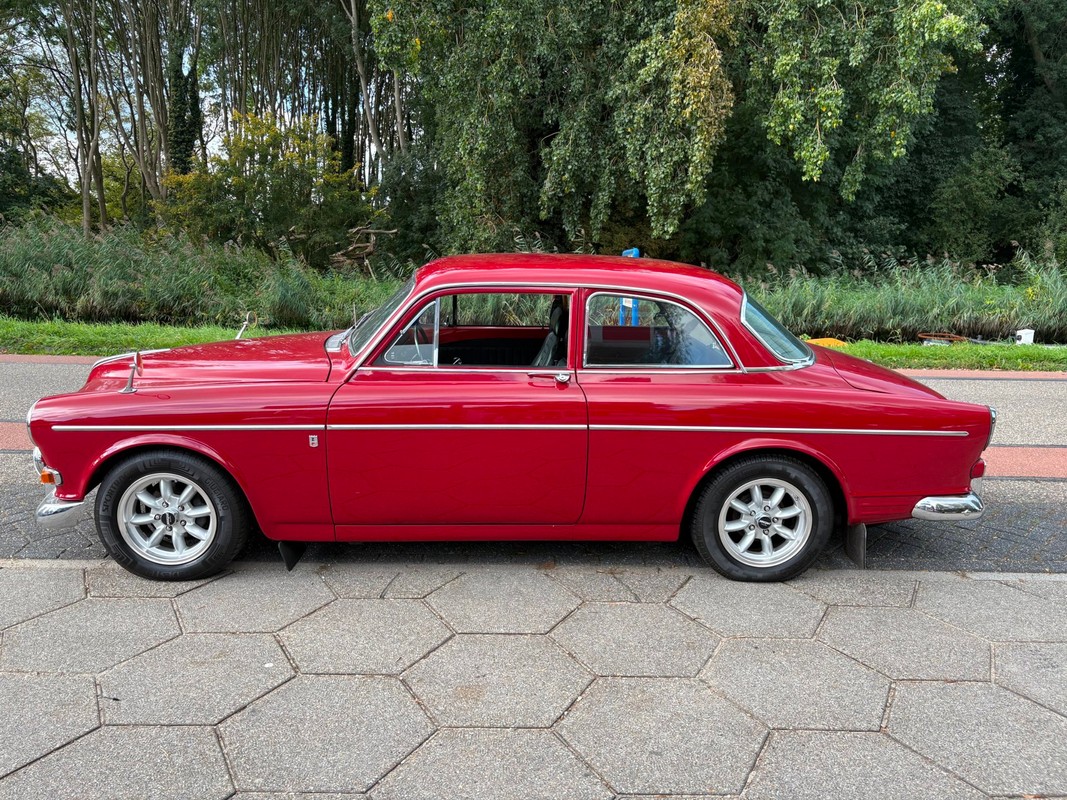 Volvo Amazon