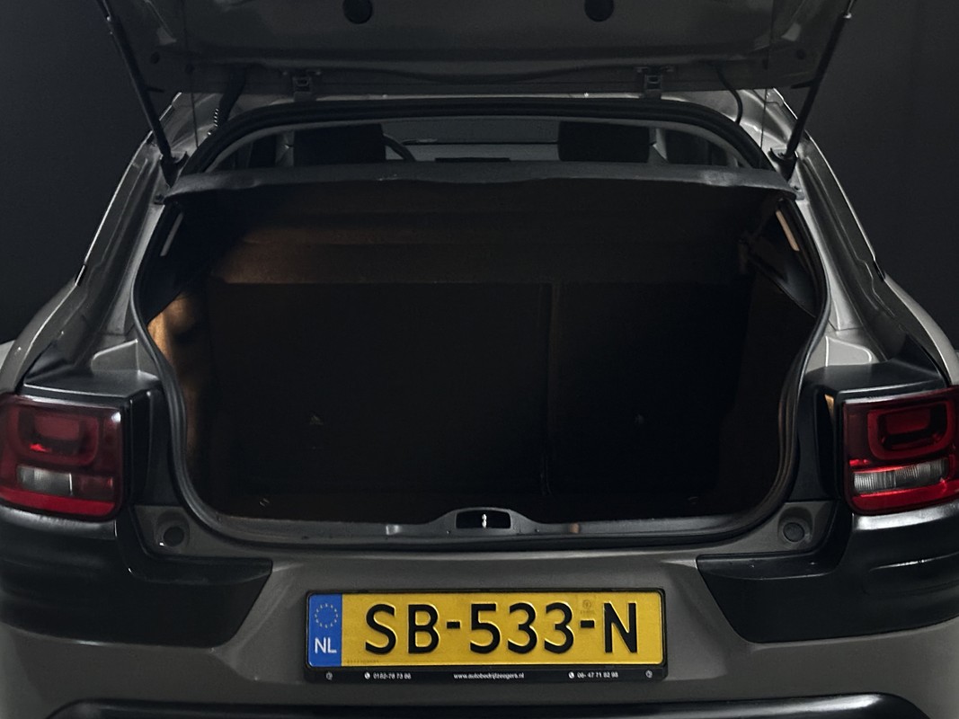 Citroën C4 Cactus
