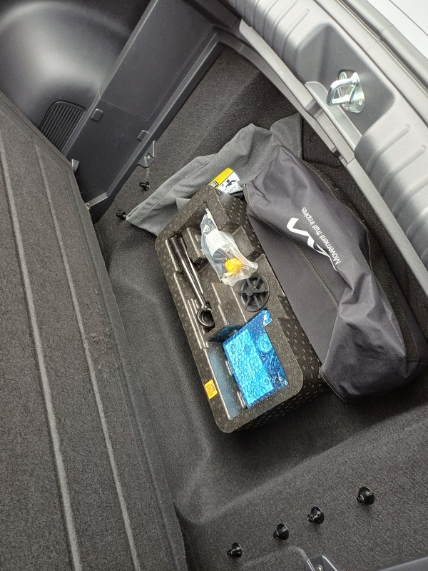 Kia Niro EV
