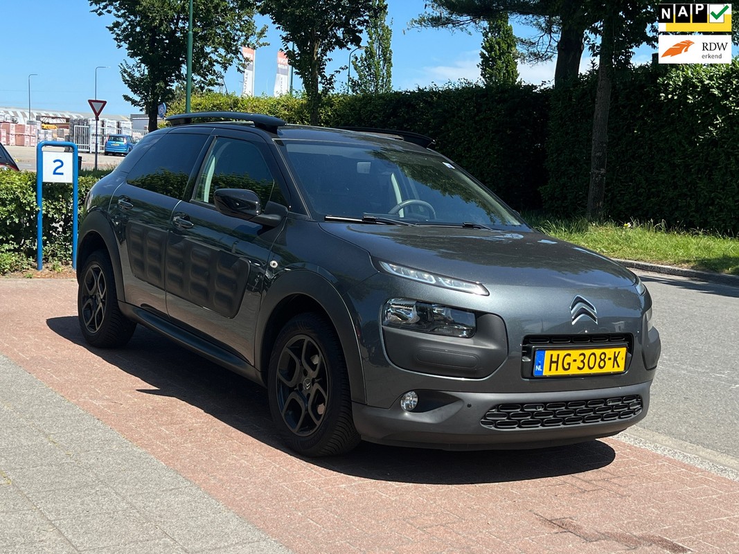 Citroën-C4 Cactus-1.2 PureTech Business Plus *Goed onderhouden | Lease One en Lenen op Maat maken het mogelijk!