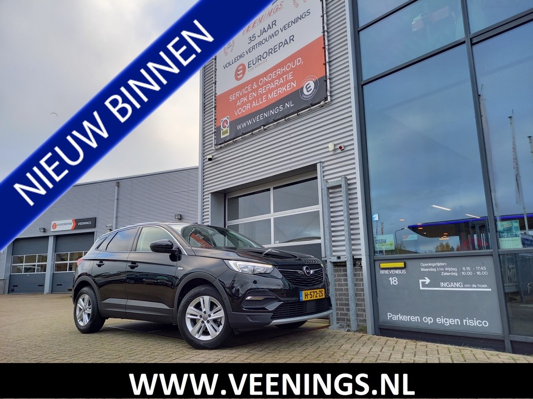 Opel-Grandland X-1.2 Turbo Business Executive | Lease One en Lenen op Maat maken het mogelijk!